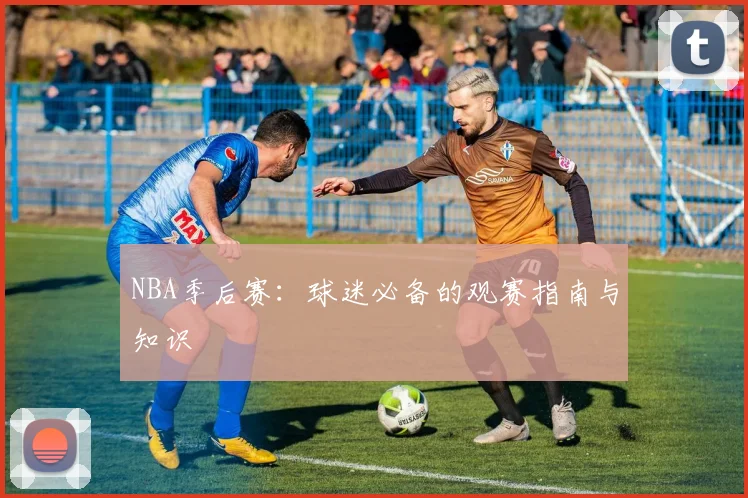 NBA季后赛：球迷必备的观赛指南与知识