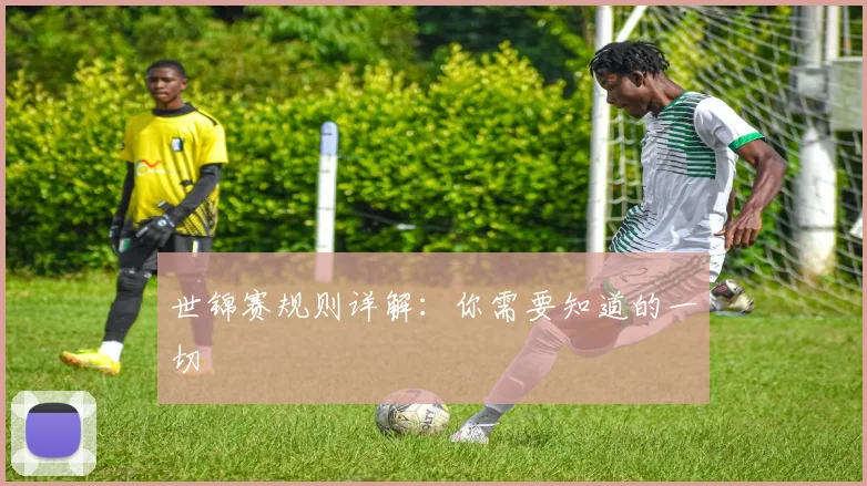 世锦赛规则详解：你需要知道的一切