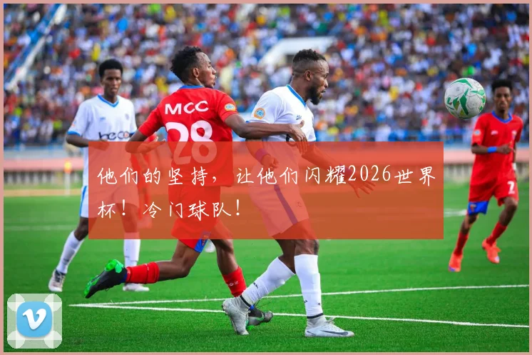 他们的坚持，让他们闪耀2026世界杯！冷门球队！