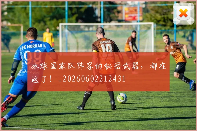 冰球国家队阵容的秘密武器，都在这了！_20260602212431